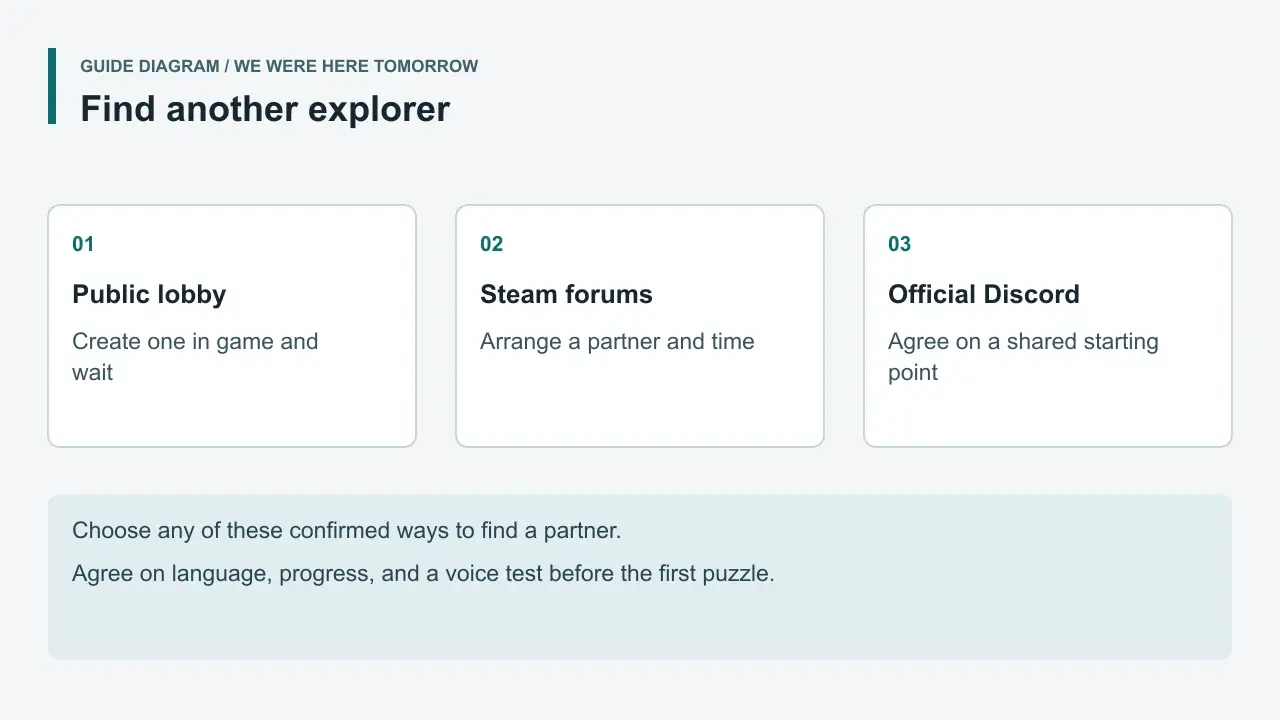 Guide diagram showing public lobbies, Steam forums and official Discord as partner-finding options